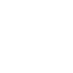 local-optimizeion-service-icon